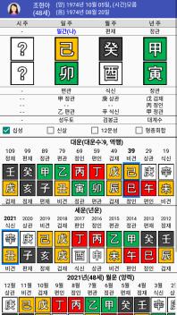 조현아(기묘일주) 사주