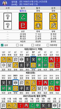 정미홍(을사일주) 사주