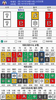 골프여제 박세리(을사일주) 사주