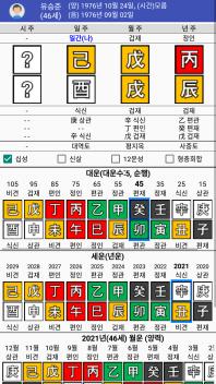 스티브유 유승준(기유일주) 사주